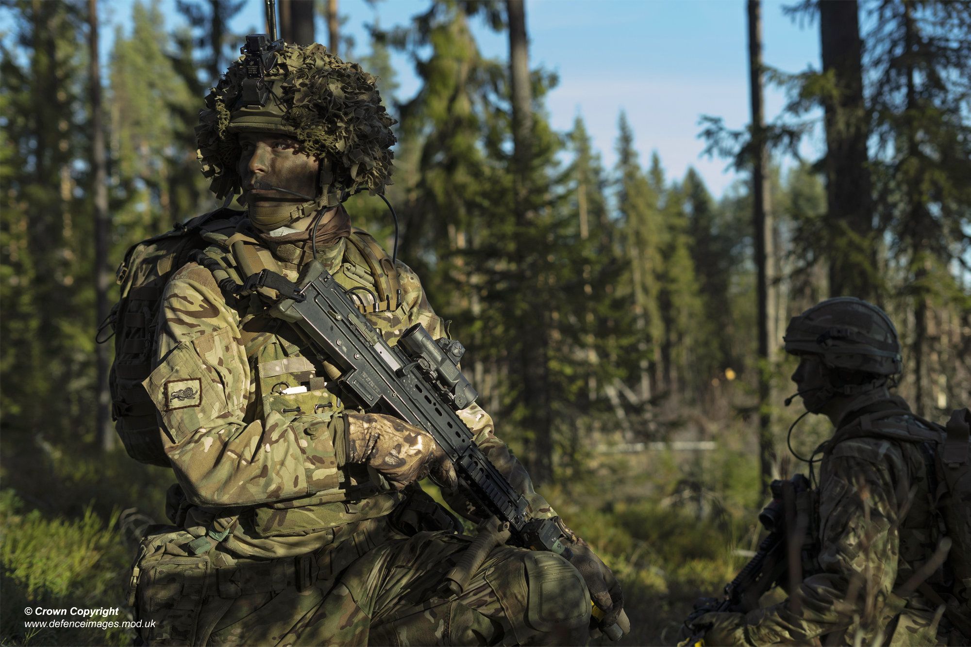 decorative image of a serviceman in a forest, holding a gun