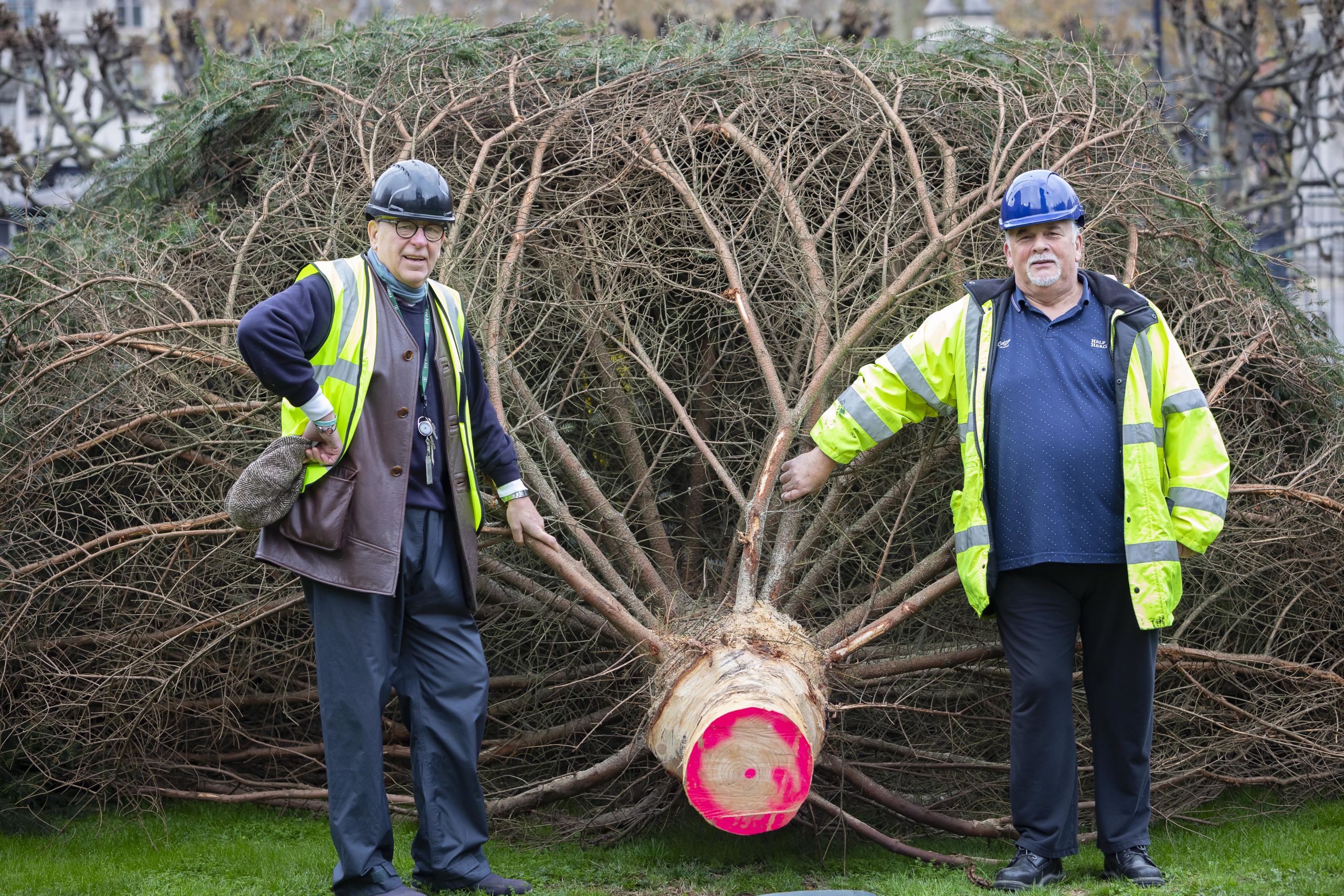 Image of Terry and Geoff with the tree