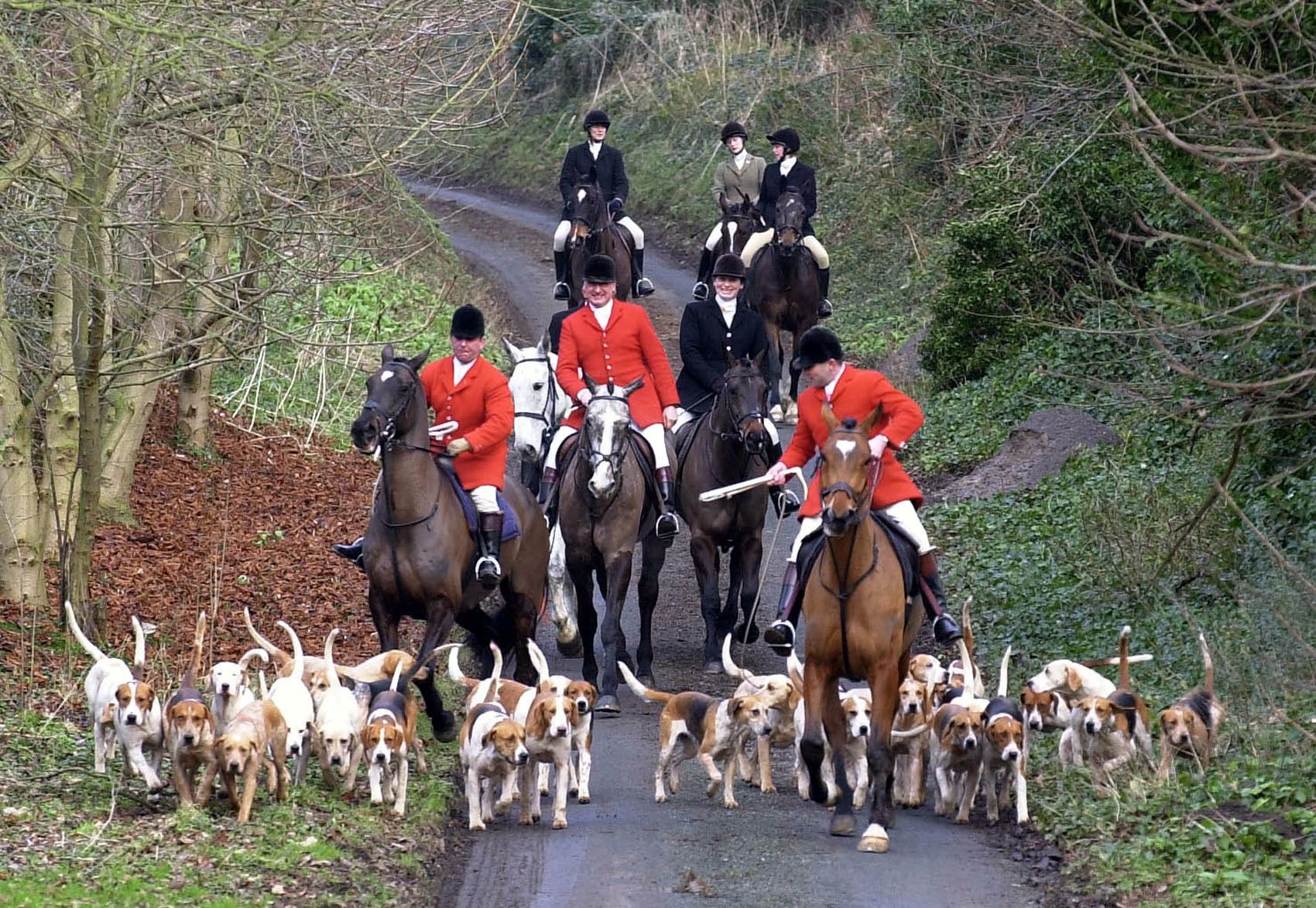 Animal Welfare In The House Of Commons - 2019