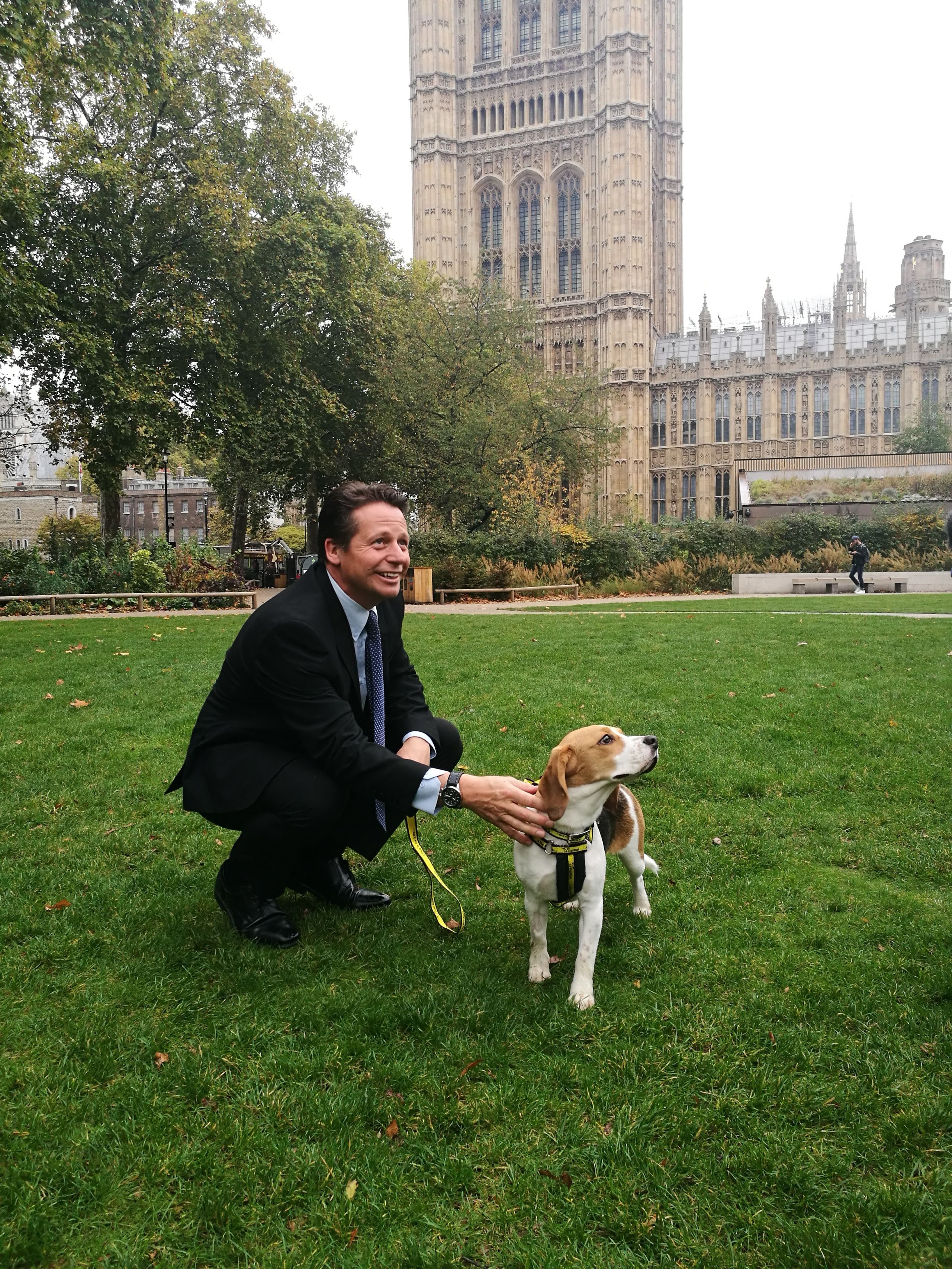 Animal Welfare in the House of Commons - 2019