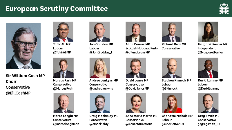 European Scrutiny Committee membership at the time of publication - link goes to page on committees.parliament.uk website   