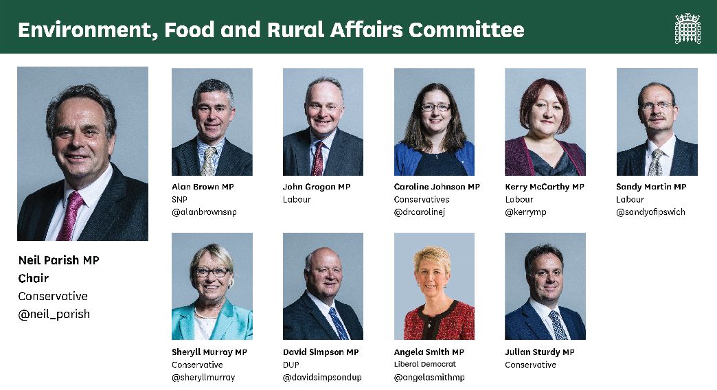 A graphic showing all of the members of the committee
